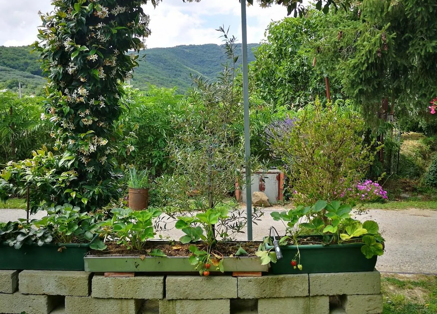 Bed and Breakfast Casa Mirella Castiglion Fiorentino